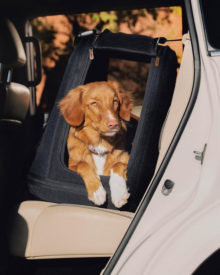 Tavo Crispin Haustier-Transportbox Large – Crash-getestete Auto-Transportbox für Hunde & Katzen, ISO