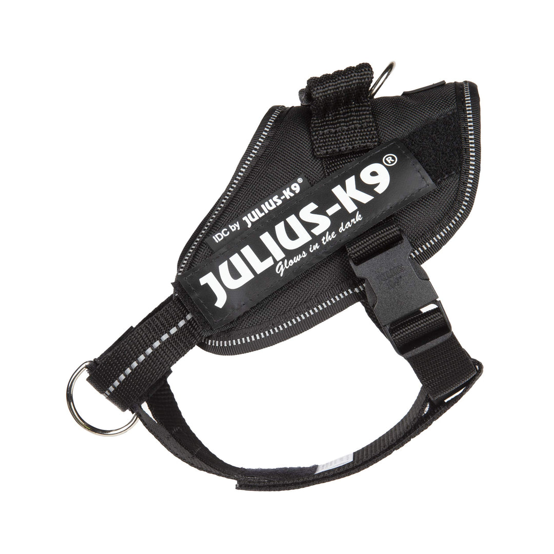 Julius-K9 16IDC-PBGHS-MM IDC Powergeschirr, Hundegeschirr mit Front Control Y-Gurt, Grösse: Mini-Min
