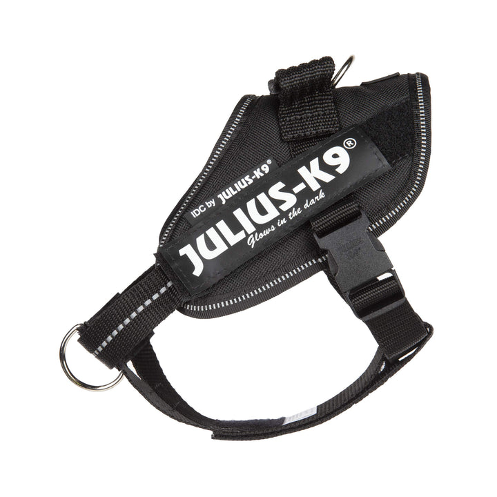 Julius-K9 16IDC-PBGHS-MM IDC Powergeschirr, Hundegeschirr mit Front Control Y-Gurt, Grösse: Mini-Min
