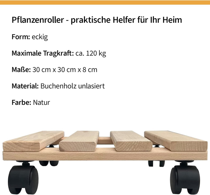 Unbekannt Fünf Pflanzenroller Holz MASSIV aus stabilem Buchenholz eckig 30 cm x 30 cm bis 120 KG