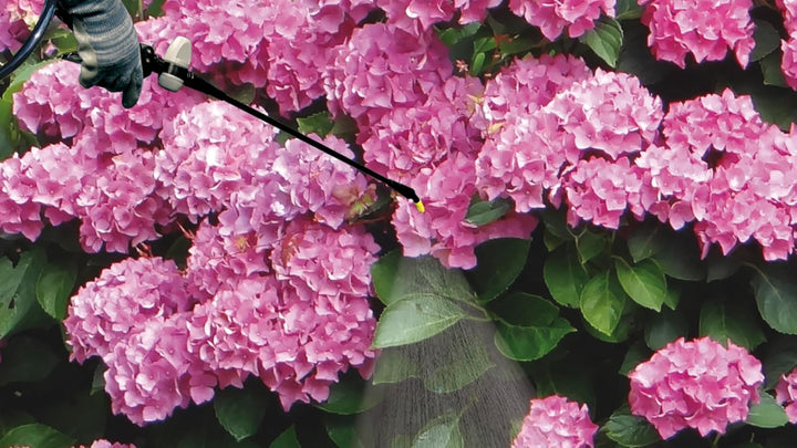 Matabi Evolution Handsprüher Rücken 12 Druck retenida