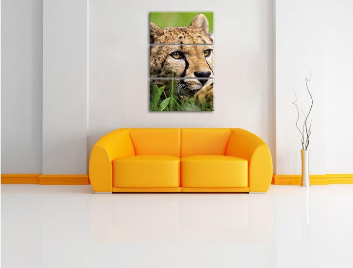 Pixxprint Gepard im Gras als Leinwandbild/Grösse: 3 Teilig (120x80) cm/Wandbild/Kunstdruck/fertig be