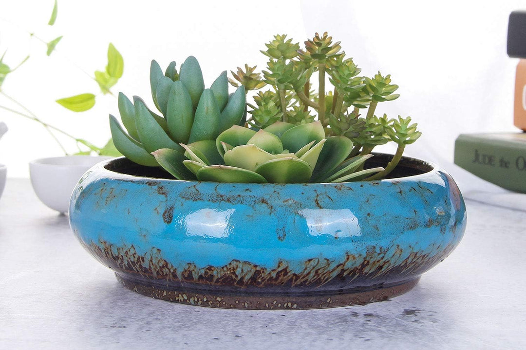 VanEnjoy 18,5 cm grosse, grosse, flache Sukkulenten-Keramik-Übertöpfe mit Ablaufloch, Bonsai-Töpfe f