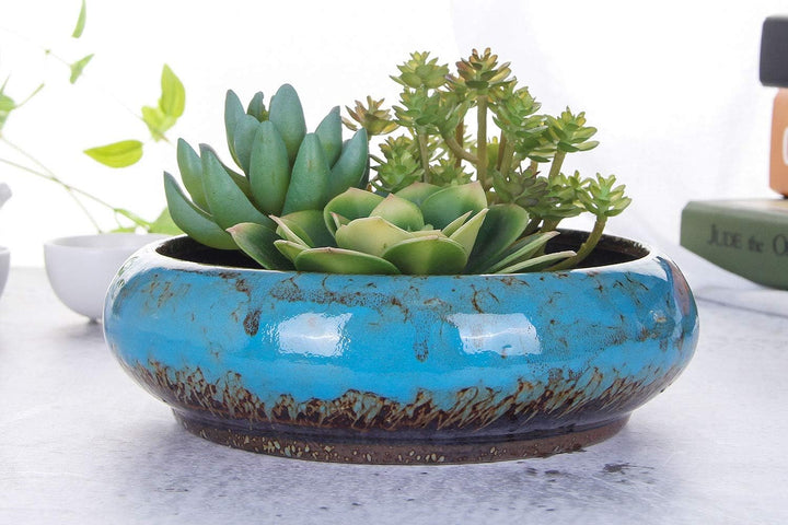 VanEnjoy 18,5 cm grosse, grosse, flache Sukkulenten-Keramik-Übertöpfe mit Ablaufloch, Bonsai-Töpfe f