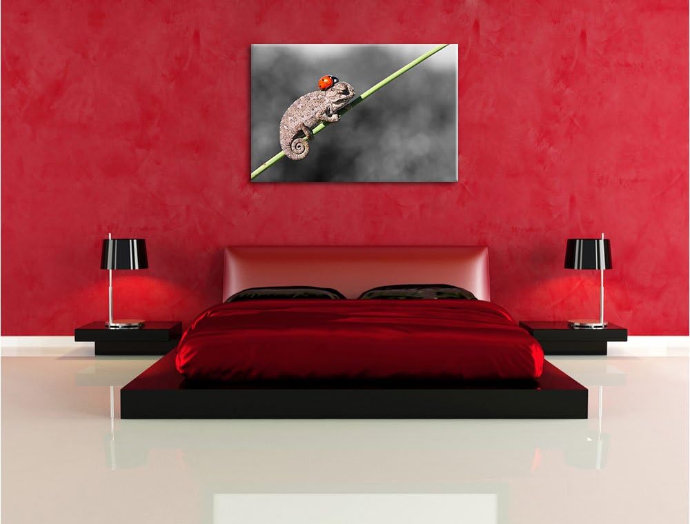 Pixxprint Süsser Gecko mit einem Marienkäfer als Leinwandbild/Grösse: 100x70 cm/Wandbild/Kunstdruck/