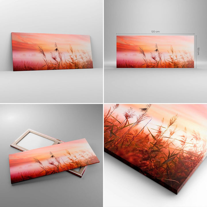 Wandbilder Dekoration Wohnzimmer Wiese Getreide Natur Panorama Bilder auf Leinwand 120x50cm Leinwand