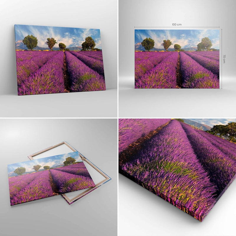 Bilder auf Leinwand 100x70cm Leinwandbild Landschaft Wiese Pflanzen Gross Wanddeko Bild Schlafzimmer