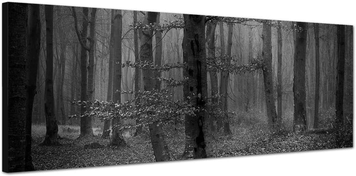Paul Sinus Art Leinwandfoto als Panorama SCHWARZ/Weiss 150x50cm Wald Bäume Laub Herbst Nebel
