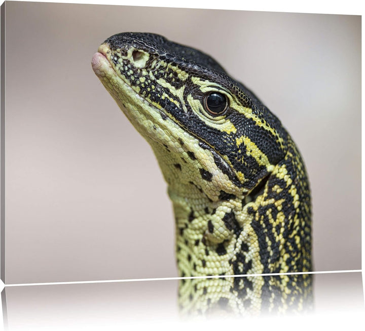 Pixxprint wachsamer Leguan auf Leinwand, XXL riesige Bilder fertig gerahmt mit Keilrahmen, Kunstdruc