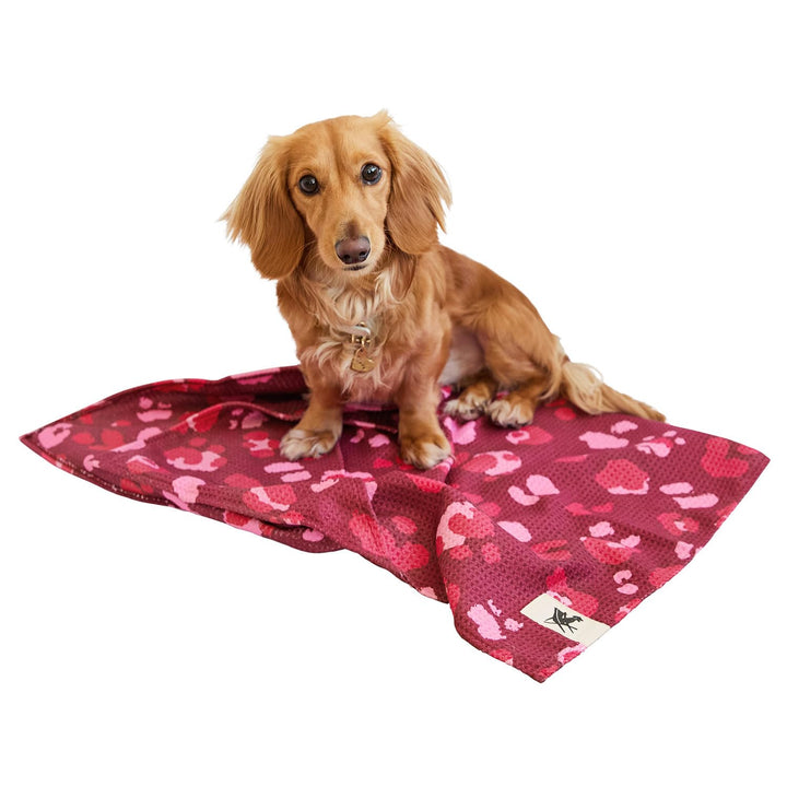 Dock & Bay Hundehandtuch - Besonders saugfähig und schnell trocknendes Handtuch mit Tragetasche - 10