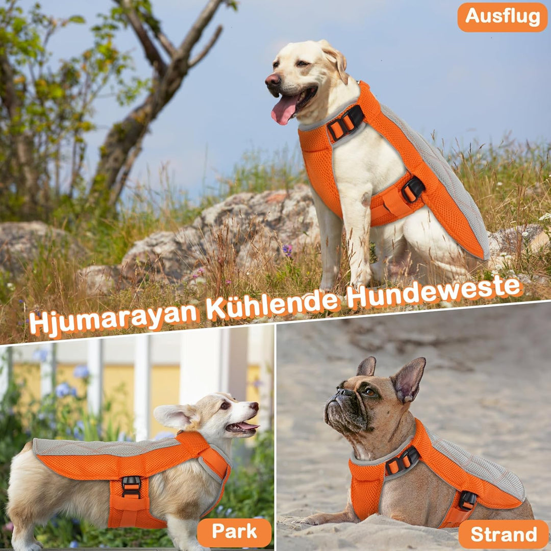 Kühlweste für Hunde, Kühlweste Hund mit D-Ringe Sommer Kühlmantel für Hunde Kühlgeschirr Atmungsakti