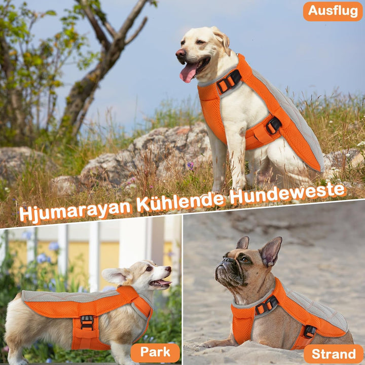 Kühlweste für Hunde, Kühlweste Hund mit D-Ringe Sommer Kühlmantel für Hunde Kühlgeschirr Atmungsakti