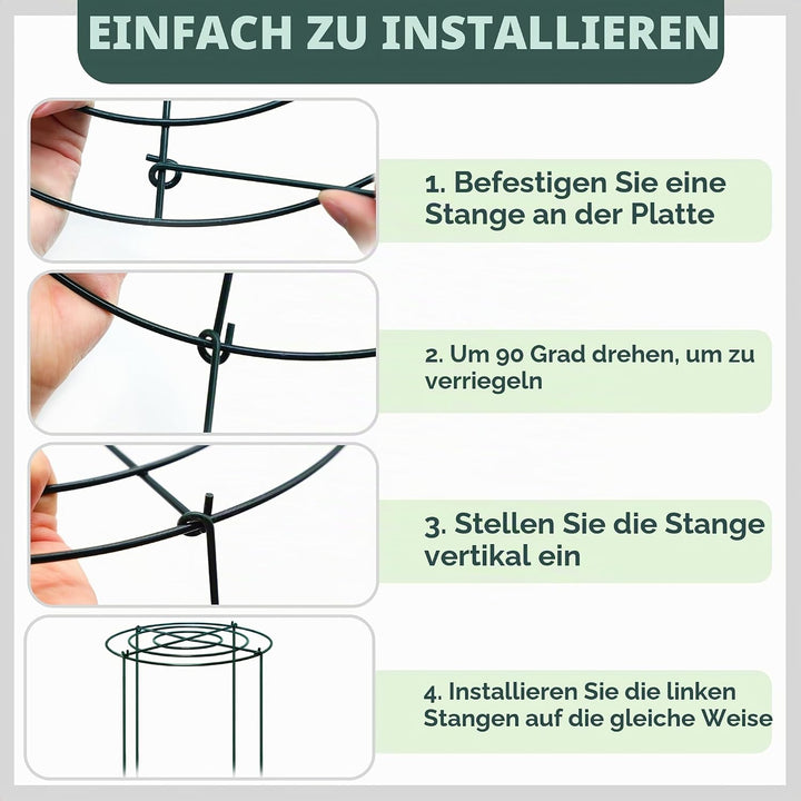 4 Stück Pflanzenstützen Rund,45x60cm Pfingstrosen-Käfige und Stützen mit gekreuzten konzentrischen R