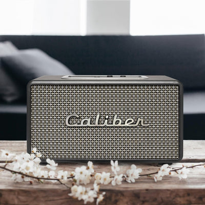 Caliber Bluetooth Lautsprecher - Retro Riley Lautsprecher - USB - 200 Watt - Equalizer - Schwarz - R