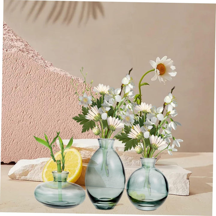 BESPORTBLE 3 Stück Vase Kleine Glasvasen Für Blumen Artificiales Decorativas para Sala Green Home De