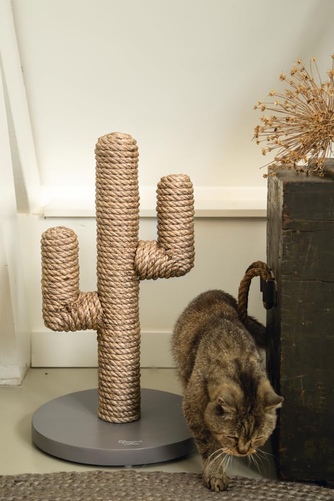 Designed by Lotte Kratzbaum Cactus L: 35 cm B: 35 cm H: 60 cm taupe