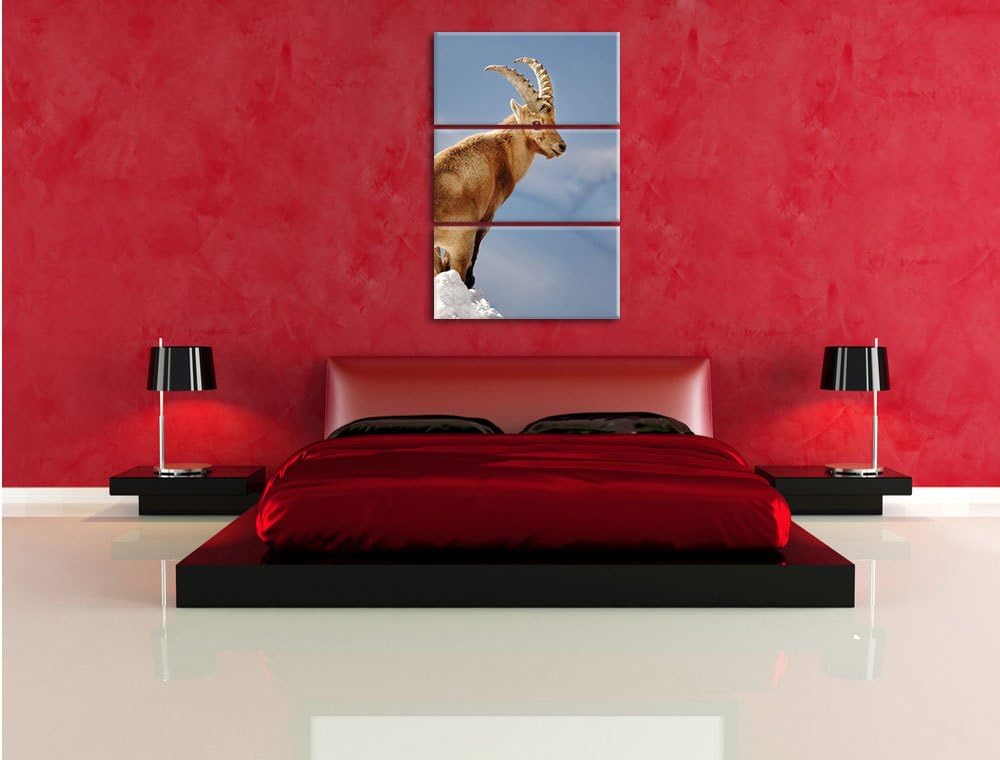 Pixxprint Steinbock im Schnee als Leinwandbild - Grösse: 3-Teilig (120x80cm) - Wandbild - Kunstdruck