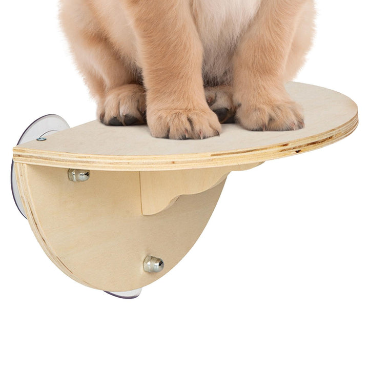 Cat Hammock Window Perch | Faltbares Cat Window Bed | Large Cats Shelf | Space-Saving Window Seat fo