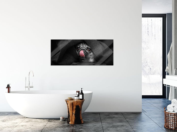 Glasbild Panorama | Wandbild aus Echtglas | Süsser Mops unter der Decke | 100x40 cm | inkl. Aufhängu