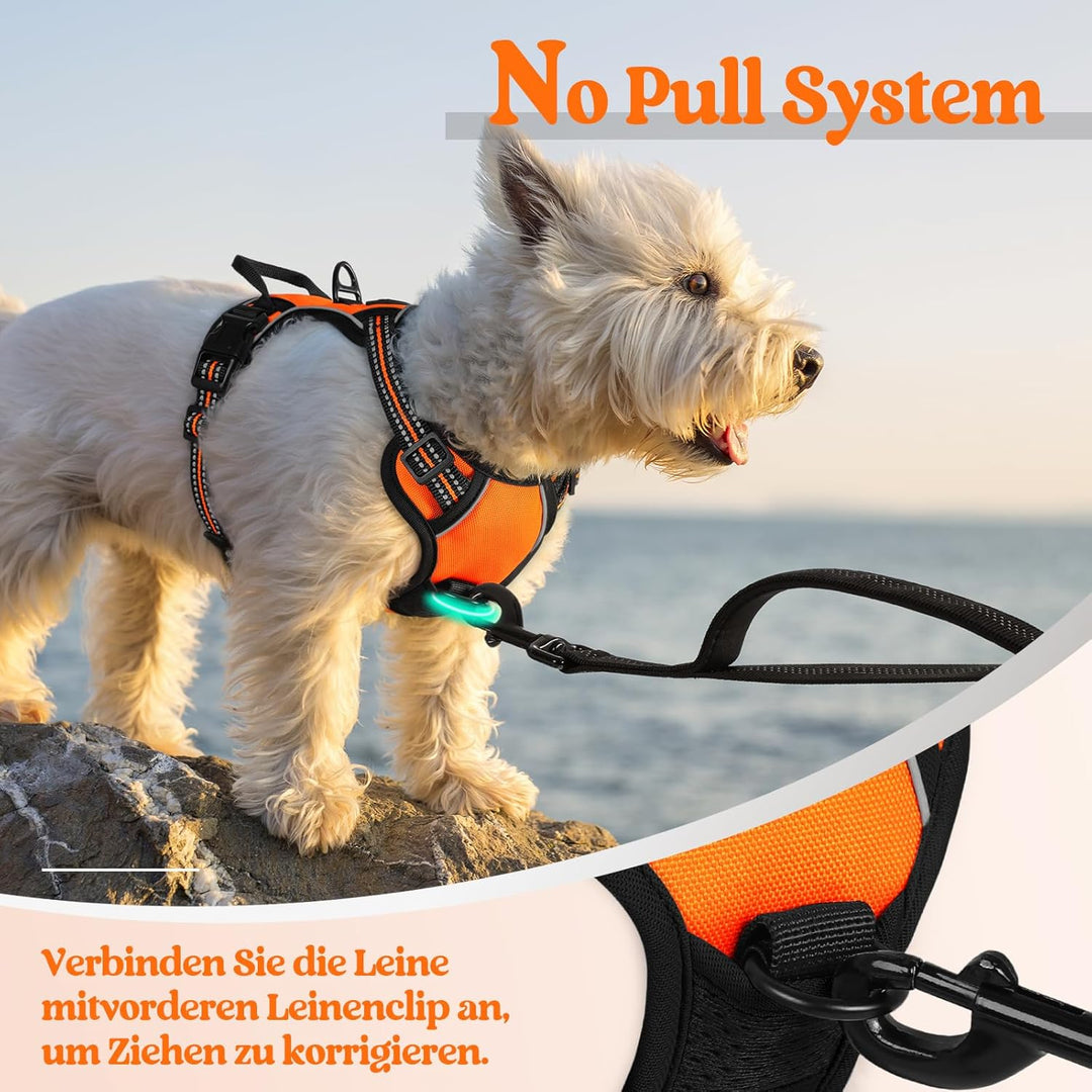 rabbitgoo Hundegeschirr Kleine Hunde, Anti Zug Geschirr mit Kontrolle, No Pull Verstellbar Hundegesc
