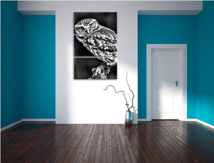 Pixxprint Eule auf AST als Leinwandbild/Grösse: 3 Teilig (120x80) cm/Wandbild/Kunstdruck/fertig besp