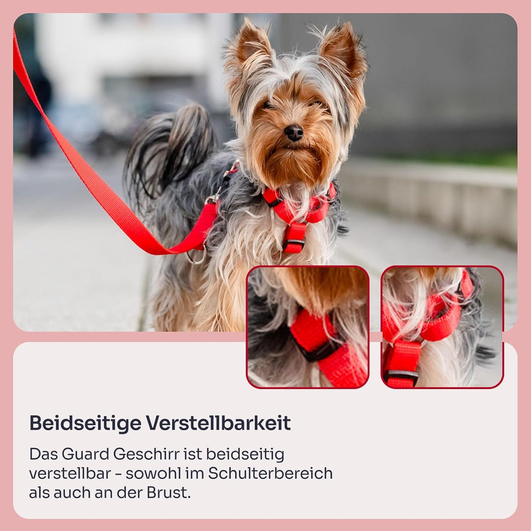 Chaba Guard Hundegeschirr für kleine Hunde mit Kontrolle, Anti-Zug & Würgen, Einstellbar, Bequem und
