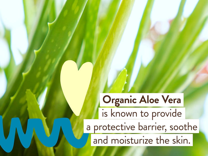 Babo Botanicals Daily Sheer Sunscreen SPF40 - Fragrance Free - For Face & Extra Sensitive Skin 50ml