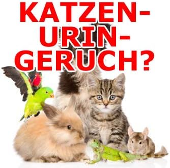 5,5 Liter Katzenurin Geruchentferner Geruchsentferner Geruchvernichter Katzen-Urin-Geruch Uringeruch