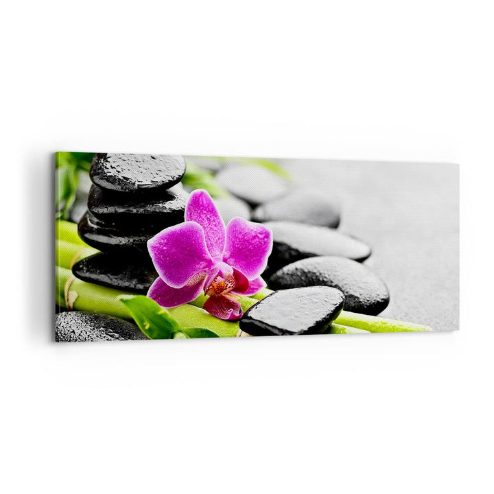 Panorama Bilder auf Leinwand 100x40cm Leinwandbild Pflanze Steine Bambus Spa Gross Wanddeko Bild Sch