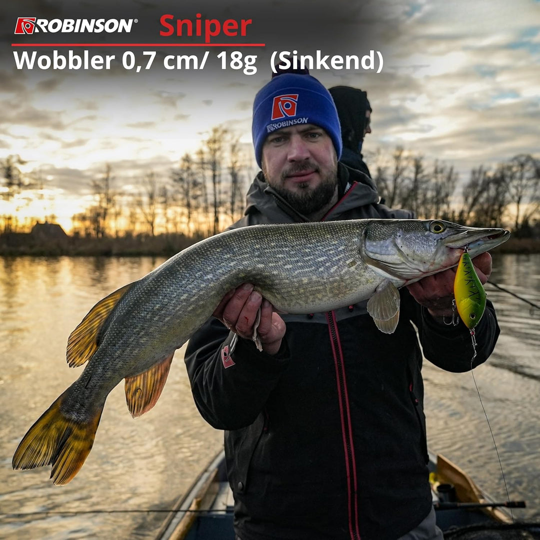 Robinson Angelköder für grosse Raubfische - Jerkbait Wobbler, Spinning und Trolling geeignet, DREI T