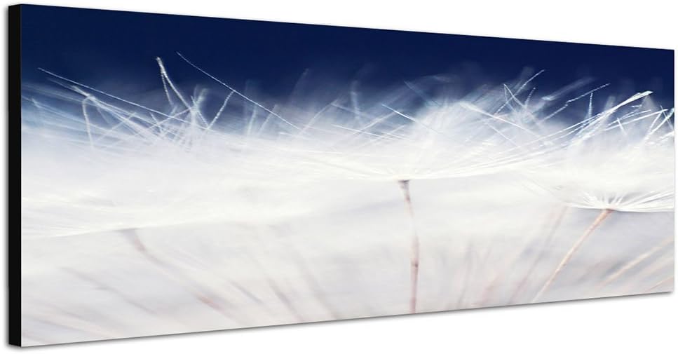 Paul Sinus Art Panoramabild auf Leinwand und Keilrahmen 150x50cm Pusteblume Löwenzahn Grossaufnahme