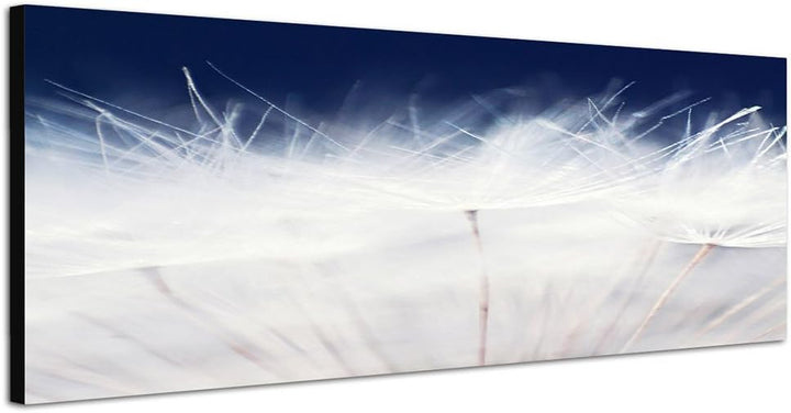 Paul Sinus Art Panoramabild auf Leinwand und Keilrahmen 150x50cm Pusteblume Löwenzahn Grossaufnahme