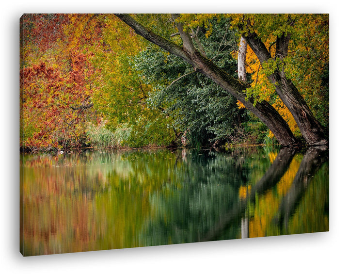 deyoli Bäume am Seeufer im Herbst Format: 80x60 als Leinwand, Motiv fertig gerahmt auf Echtholzrahme