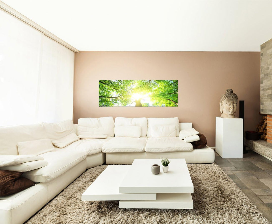 Paul Sinus Art Panoramabild auf Leinwand und Keilrahmen 150x50cm Wald Baumkronen Frühling Sonnenstra
