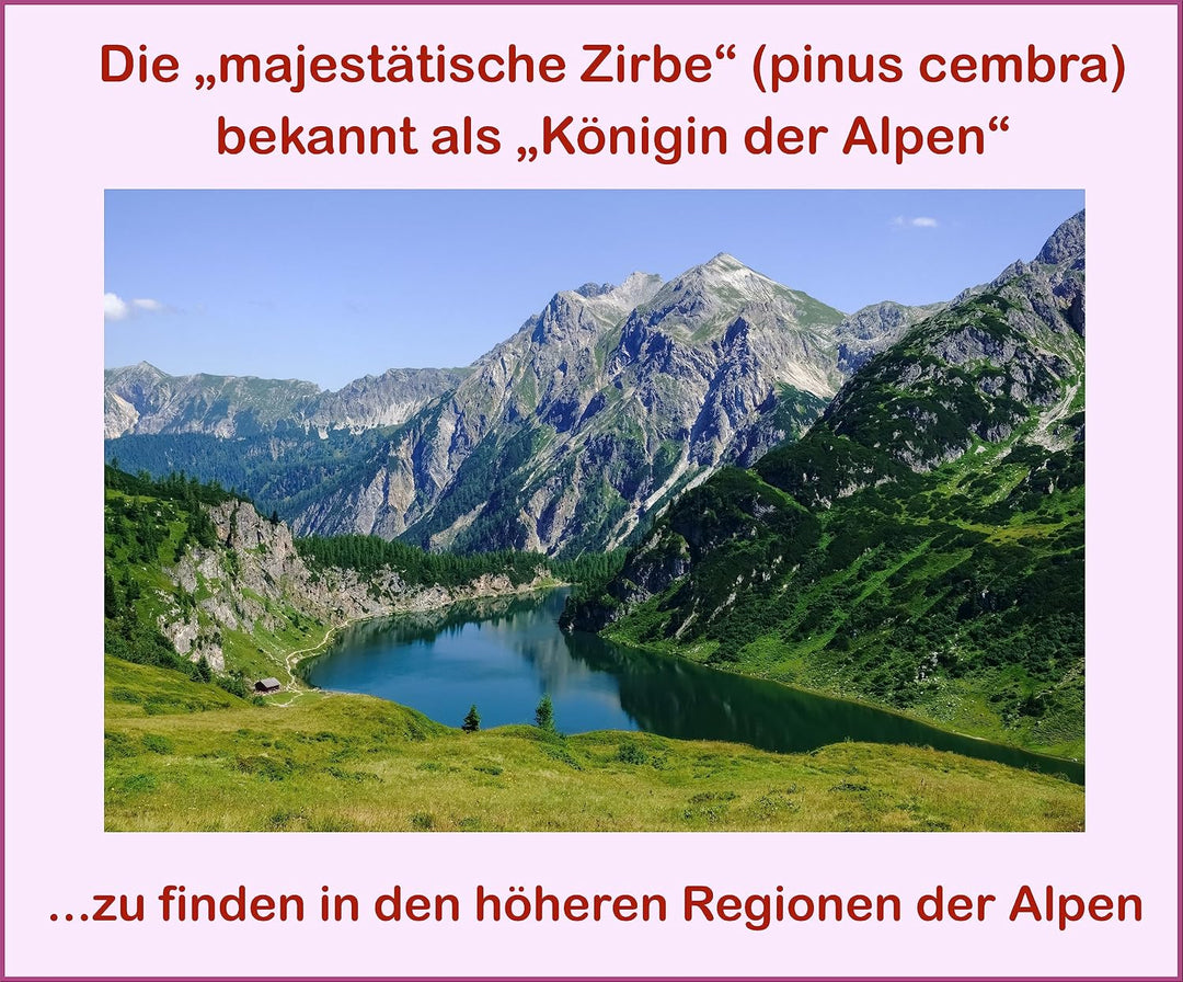 Alpen-Zirbenöl; naturrein, 100% bestes Zirbenöl; (70 ml) 70 ml (1er Pack), 70 ml (1er Pack)