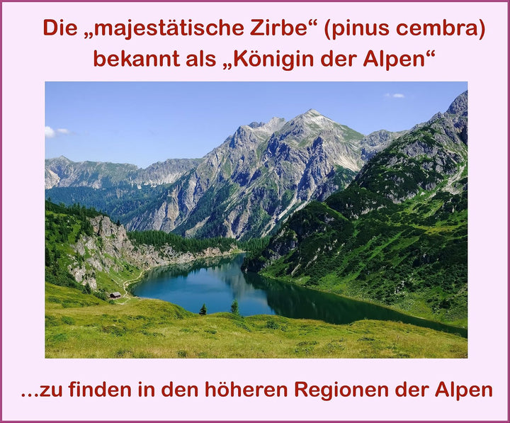 Alpen-Zirbenöl; naturrein, 100% bestes Zirbenöl; (70 ml) 70 ml (1er Pack), 70 ml (1er Pack)