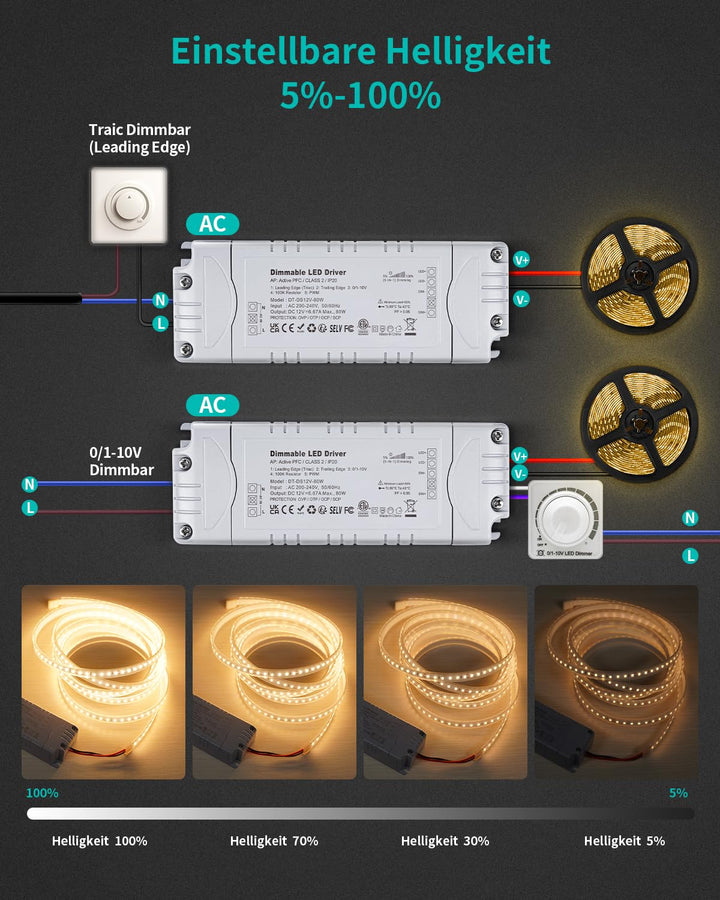 REYLAX LED Trafo 12V Dimmbar, TRIAC Dimmbar Netzteil 12V 80W 6.66A, Trafo 230V auf 12V DC LED Treibe