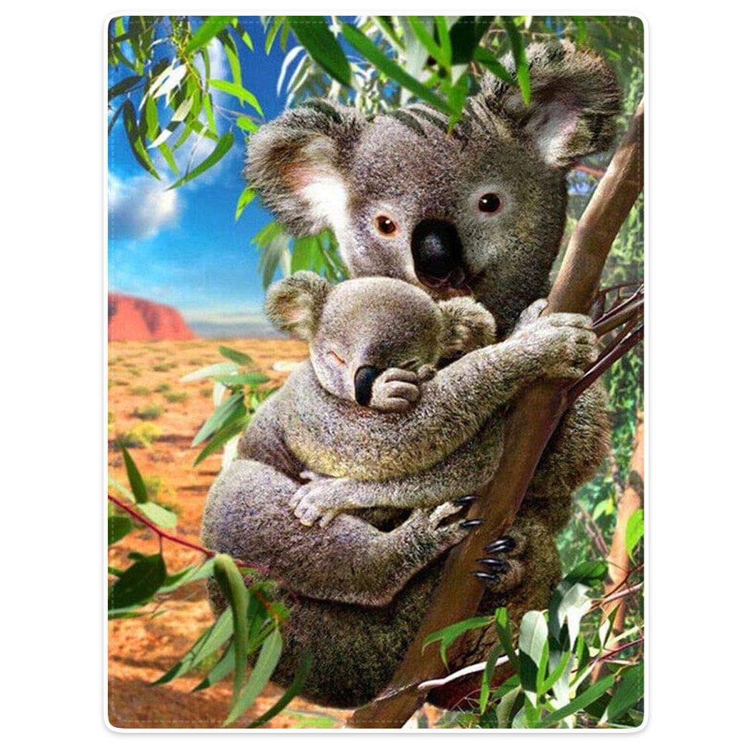 Zomer Kuscheldecke,Koala,125x150cm,Grau,Flauschige Decke Mikrofaser Fleecedecke Weiche &amp; Warme Sofad
