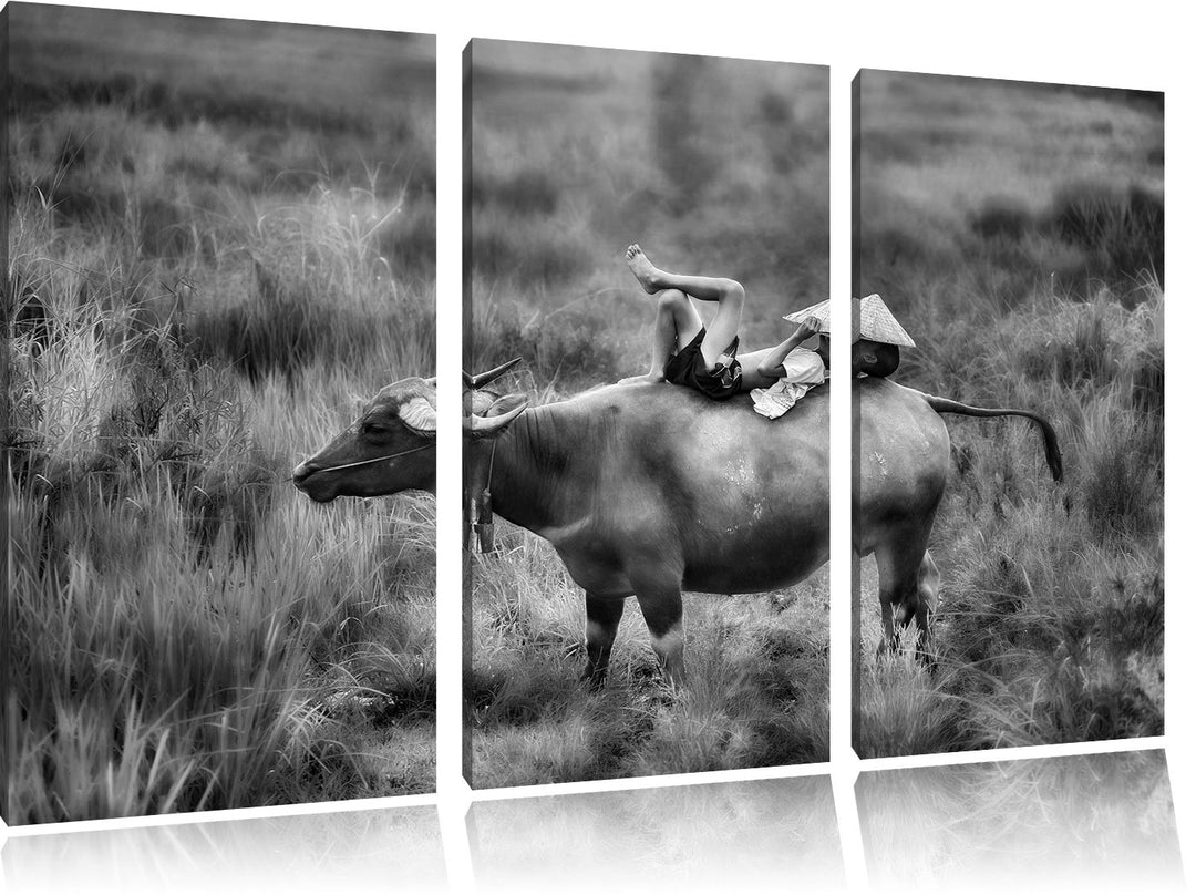 Pixxprint Monocrome, Wasserbüffel trägt Kind 3-Teiler Leinwandbild 120x80 Bild auf Leinwand