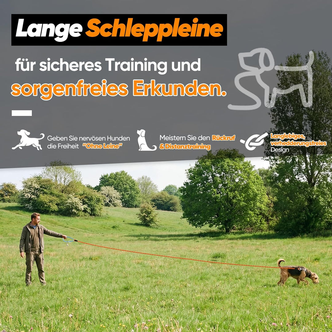 Aystkniet Schleppleine für Hunde, 5M 10M 15M 20M 30M Lange schleppleine mit 2 Wirbelhaken, Trainings