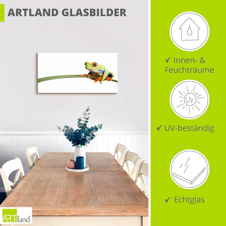 ARTland Glasbilder Wandbild Glas Bild einteilig 60x30 cm Querformat Natur Tiere Frosch Laubfrosch Bl