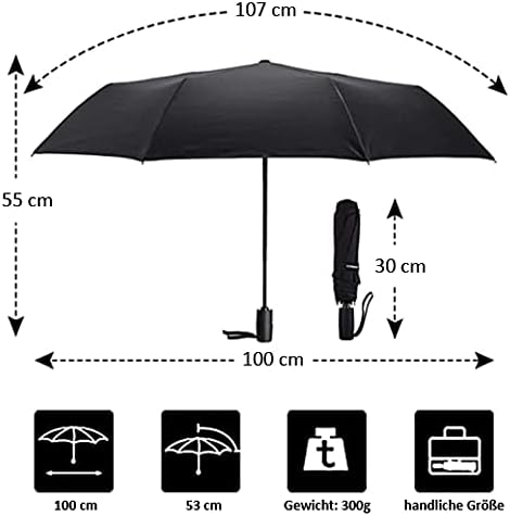 VON LILIENFELD Regenschirm Taschenschirm Windfest Theo Michael: Hommage to the Singing Butler Auf-Zu
