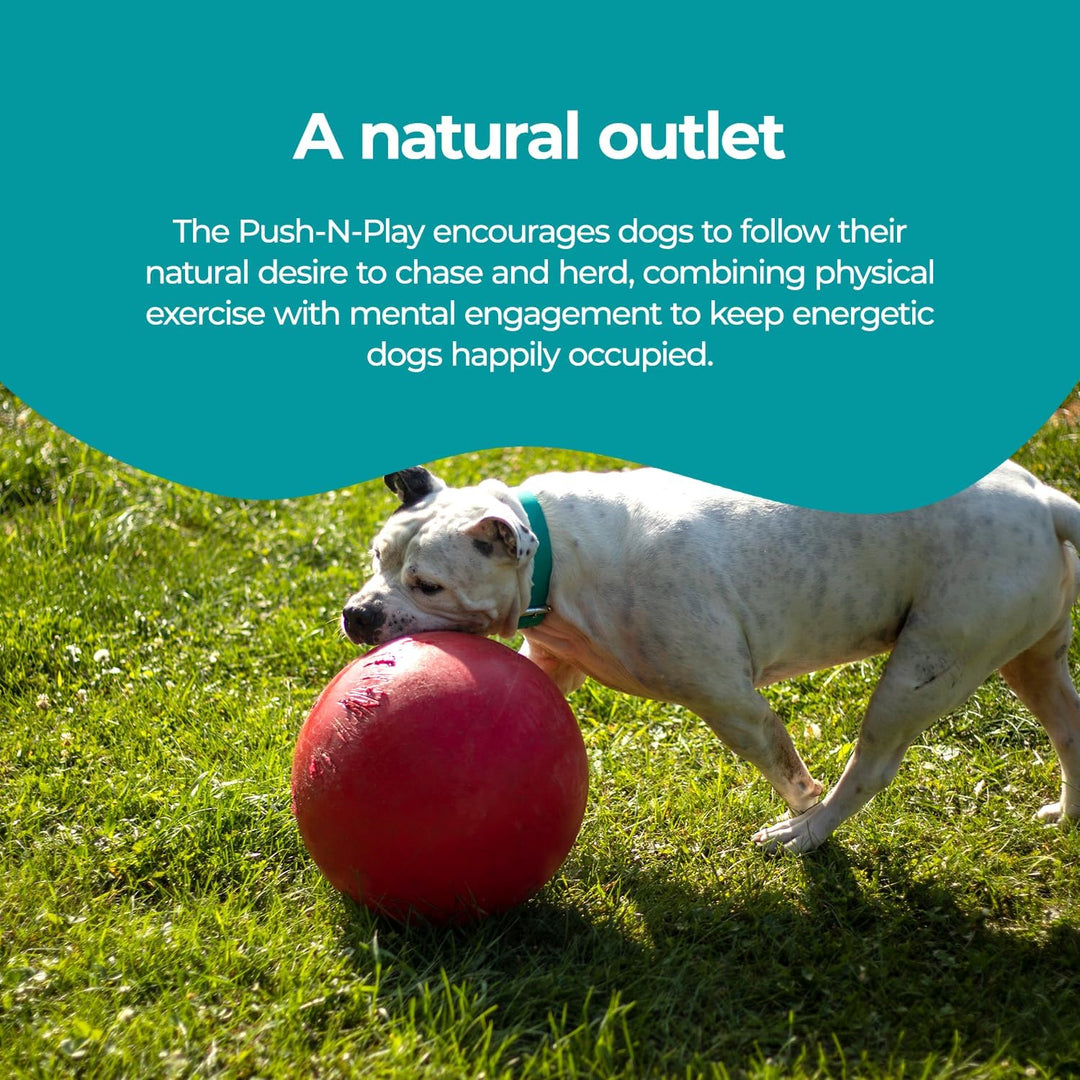 Jolly Pets JOLL070F Hundespielzeug Ball Push-n-Play, 25 cm, rot 10 Inches/Large Red, 10 Inches/Large