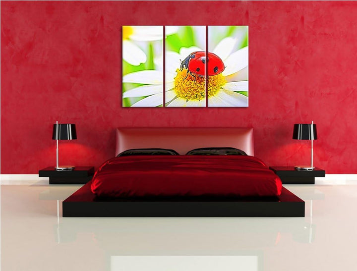 Marienkäfer auf Gänseblümchen Spezial 3-Teiler Leinwandbild 120x80 Bild auf Leinwand, XXL riesige Bi