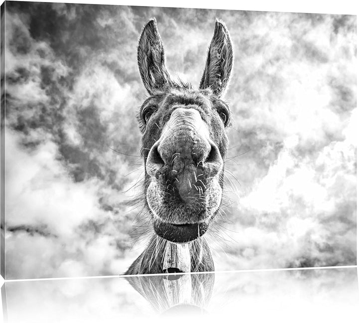 Lustiger Esel Kunst B&W, Format: 100x70 auf Leinwand, XXL riesige Bilder fertig gerahmt mit Keilrahm