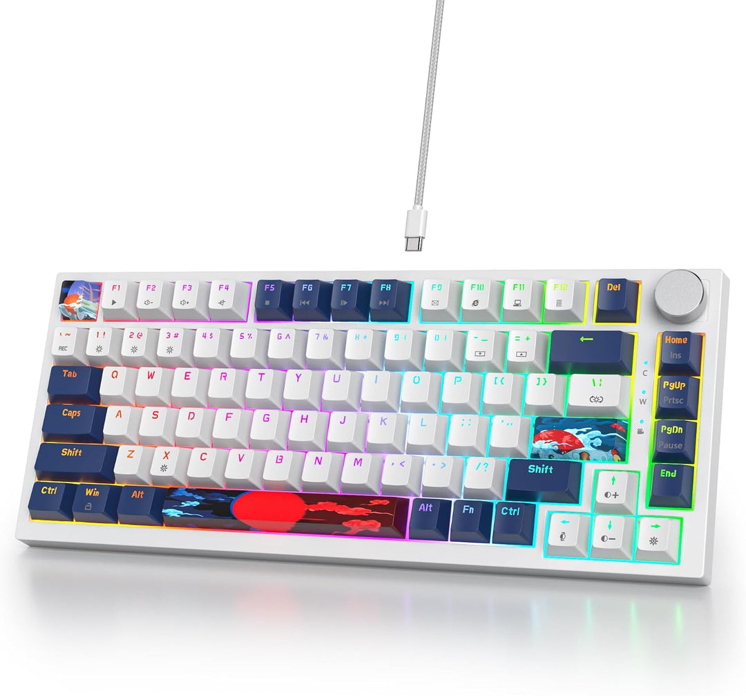 SOLIDEE Verkabelte 75% Mechanische Gaming-Tastatur,hot-swap-fähige Mechanische Tastatur mit Gasket S