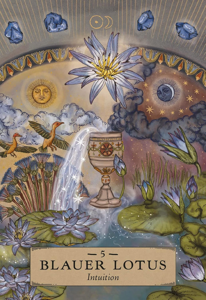 Herbal Astrology Orakel: 55 Karten mit Botschaften und Anleitungen (Stülpdeckelschachtel mit Goldprä