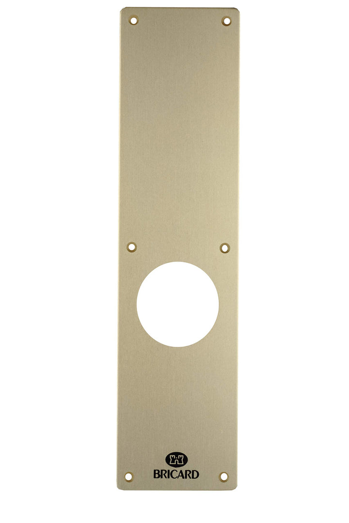 Bricard Halb-Set für Aussentür, 66393 Blind (ohne Auflage) Champagne, Blind (ohne Auflage) Champagne