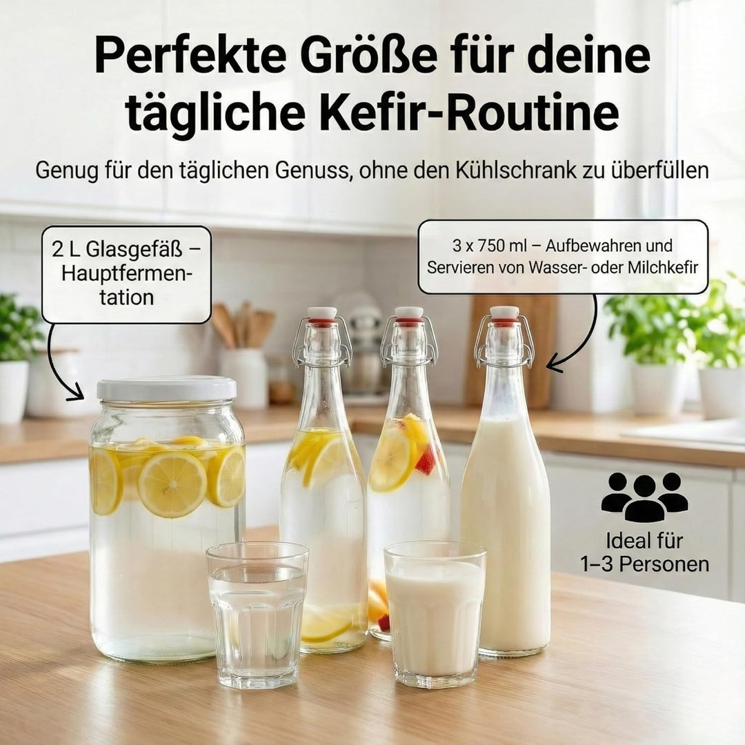 Kefir & Kombucha Starter Set | 2L Glasgefäss | 3 hermetische 750ml Bügelflaschen | 10cm Trichter & M