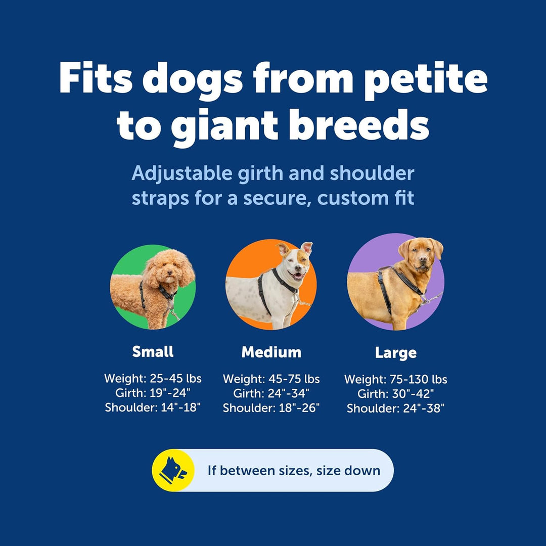 PetSafe 3 in 1 Geschirr mit Zwei-Punkt-Steuerleine – No-Pull Harness – Medium – Schwarz – verstellba